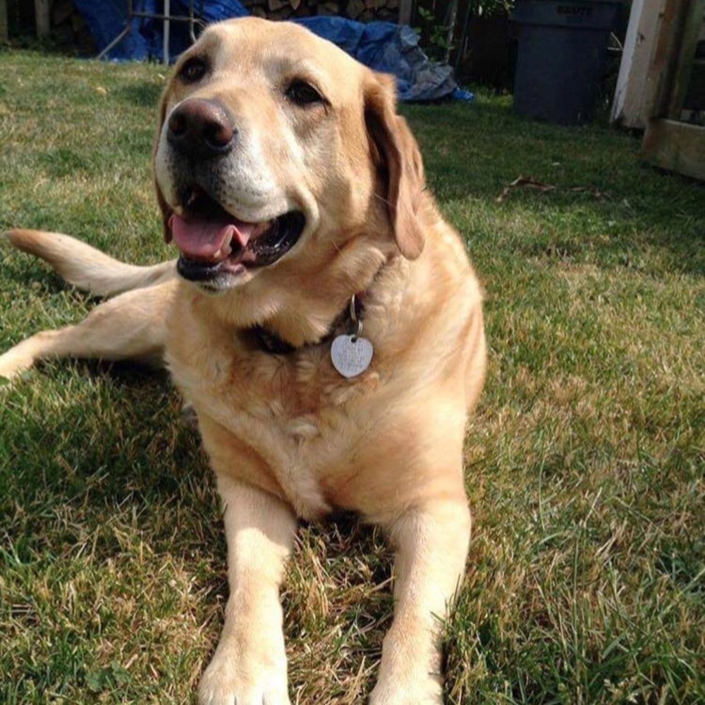 Meet your Posher, Pam